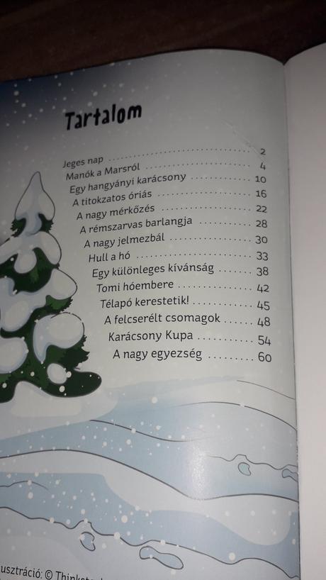 Karàcsonyi mesetàr, 