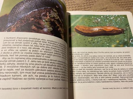 Život v schránke mikuláš j. lisický slimáky ulity, 