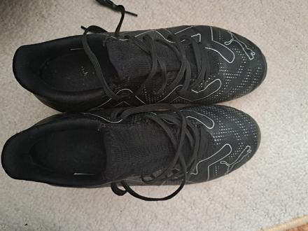 Tarfy puma, puma,38