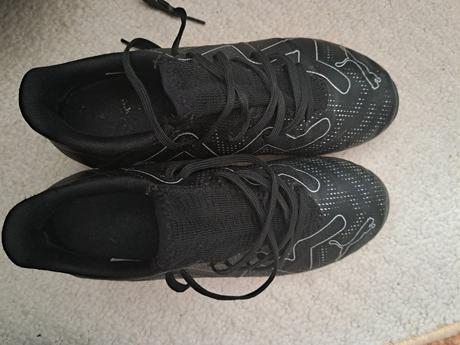 Tarfy puma, puma,38
