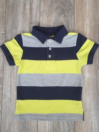 Tricko, authority,92