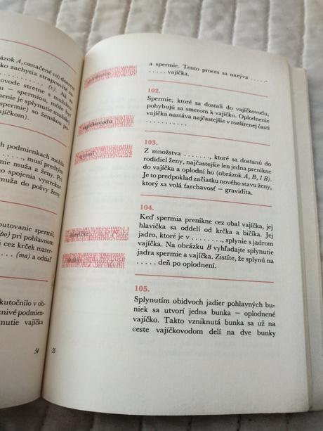 Retro kniha keď dospievam,