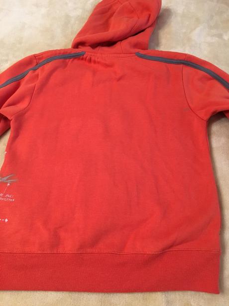 Dinosaurus mikina, 116