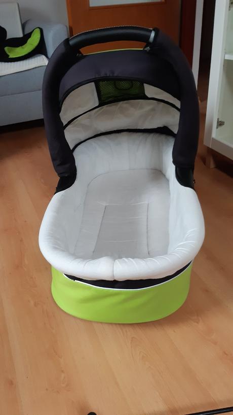 Kočík, riko,riko alpina