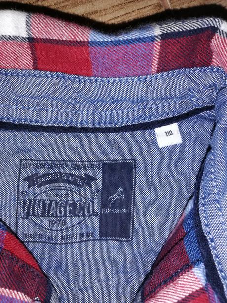 Kosela, palomino,110