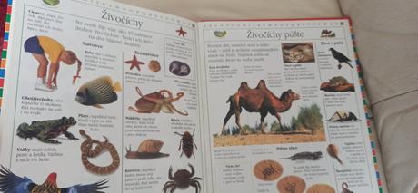 Veľká kniha pre školákov, 