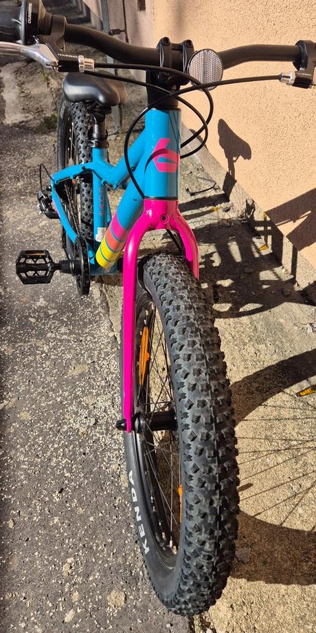Det. horský bicykel bergamont bergamonster 20 plus, 20