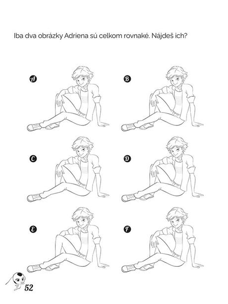 Čarovná lienka a čierny kocúr - 1001 samolepiek (c,