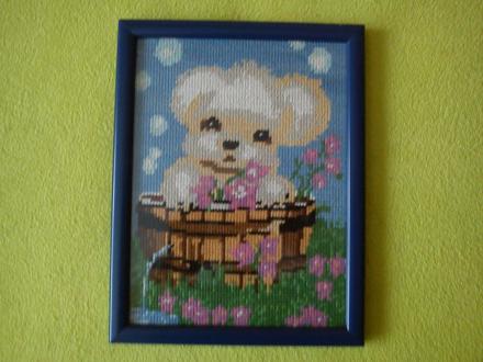 Obraz - macko sa kúpe, 