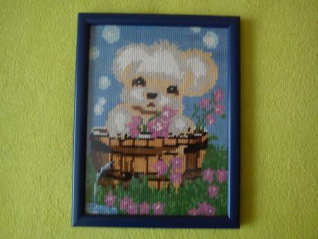 Obraz - macko sa kúpe, 