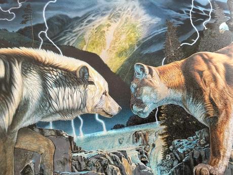 Meniaci sa obrázok, 