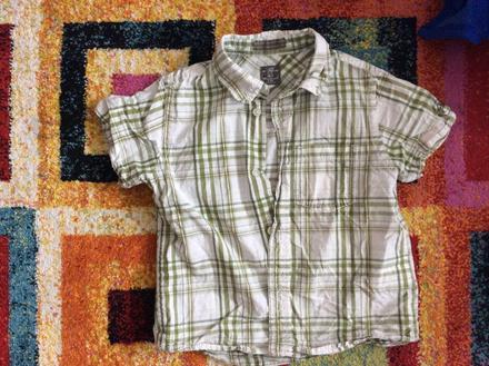 Kosela , l.o.g.g.,116