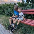 bracekovia