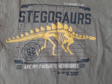 Tričko stegosaurus, dopodopo,110