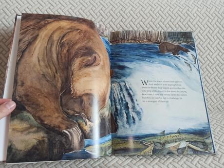 Jackie morris - something about a bear hb, 