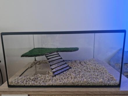 Aquarium,