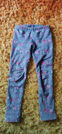 Leginy hrubsie, pepco,116