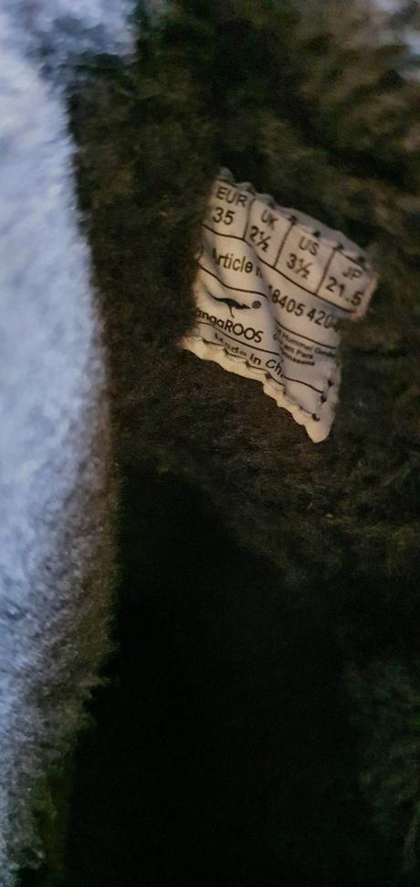 Snehule kangaroos, kangaroos,35