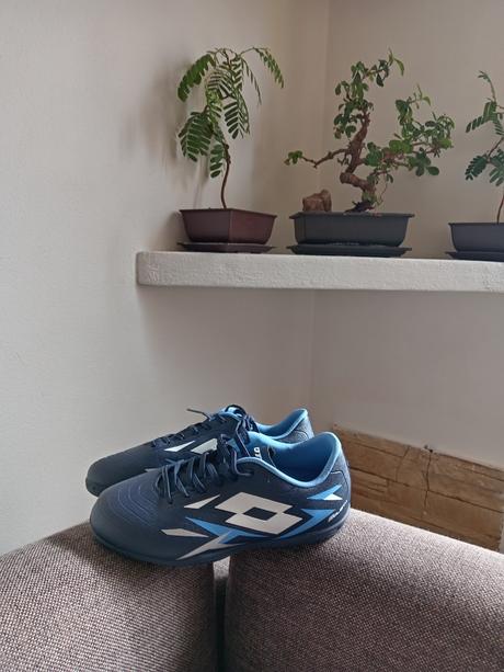 Halovky lotto, lotto,36