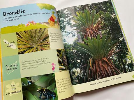 Encyklopédie, fotorámik, diár, plyšák, 