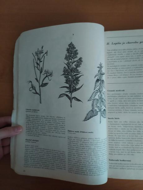 Liečivé rastliny z božej záhrady, 