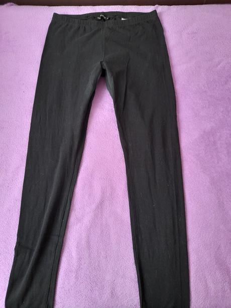 Leginy l, terranova,l