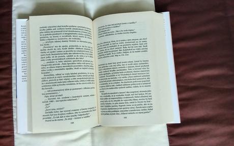 Kniha - jeden deň od davida nichollsa, 