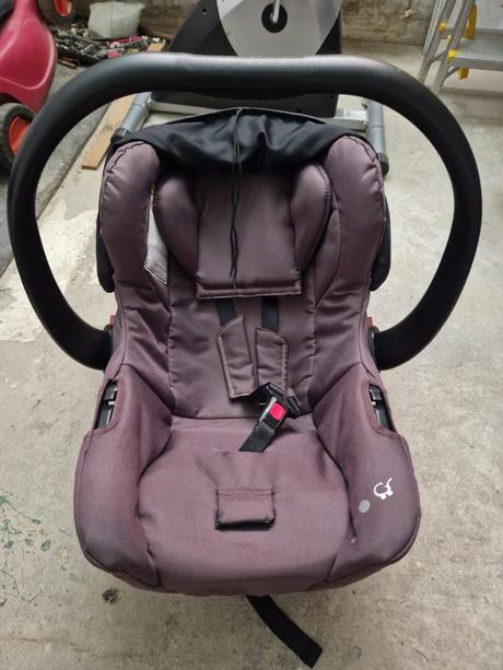 Predam vajicko zn gesslein, gesslein