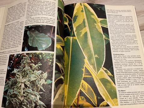 Krásna stará retro kniha zima v záhrade 1983, 