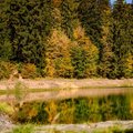 trochu nacerpat energiu z tych farieb na