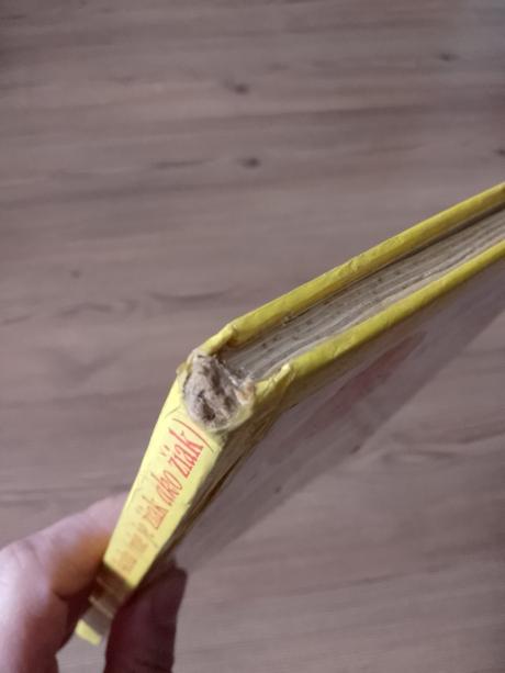 Mária ďuríčková - nie je škola ako škola, 