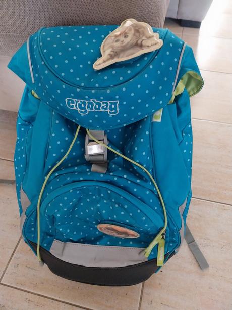 Školská taška ergobag, 