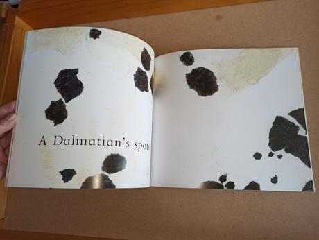 Giles and alexandra milton - call me gorgeous,