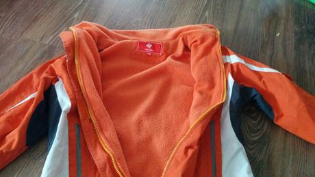 Orange effect na jeseň, success,158