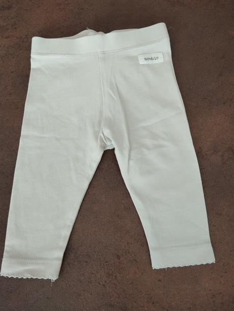 Newbie leginy, newbie,62