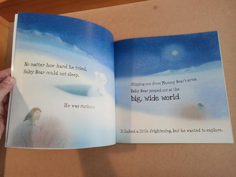 Baby bear and the big wide world,