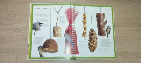 Prvá kniha hier s prírodou, 