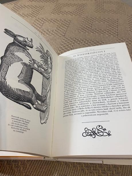 Krásna kniha o afrike safari pod kilimandžárom,