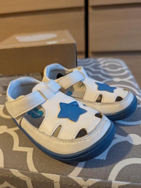 Little blue lamb 21, little blue lamb,21