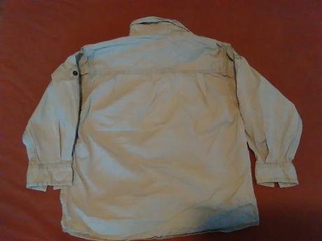 Košela, palomino,110