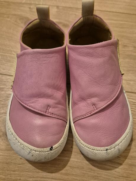 Barefoot acebos origin begonia, 28