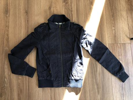 Bunda st. bernard, st. bernard,146