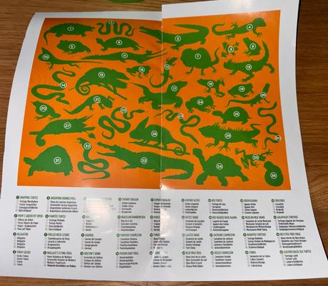 Puzzle plazy a obojživelníky,