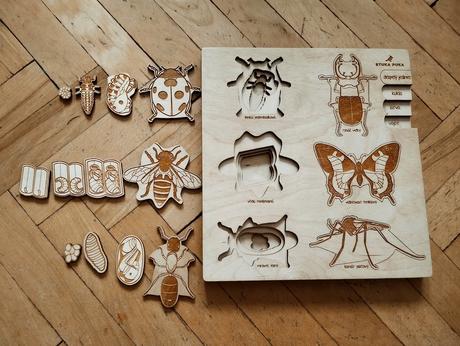 Skladačka životný cyklus hmyz, 