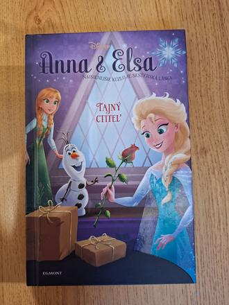 Anna a elza (kniha) tajný ctiteľ,