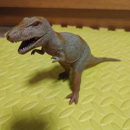 Dinosaurus 15x23 cm, 