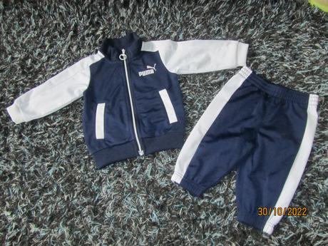 Suprava puma, puma,68