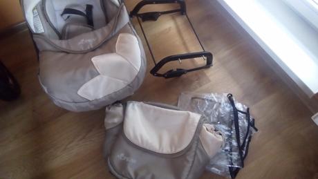 Kočik, tako,tako captiva mohican