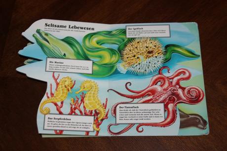 Leporelo meereslebewesen, 