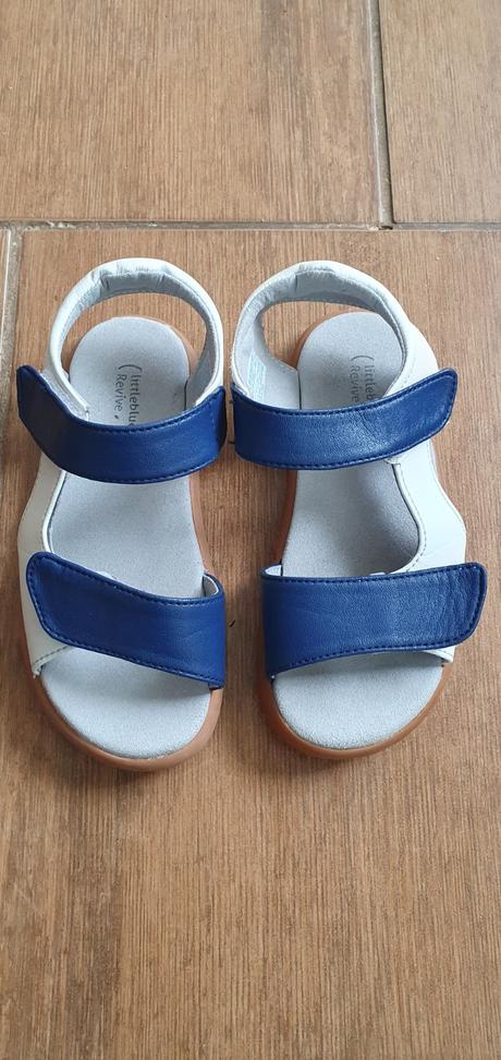 Sandalky, little blue lamb,26